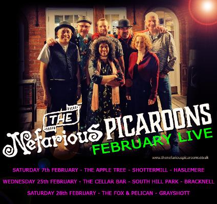 The Nefarious Picaroons
